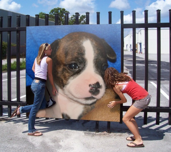 PhotoFunia-17d76.jpg